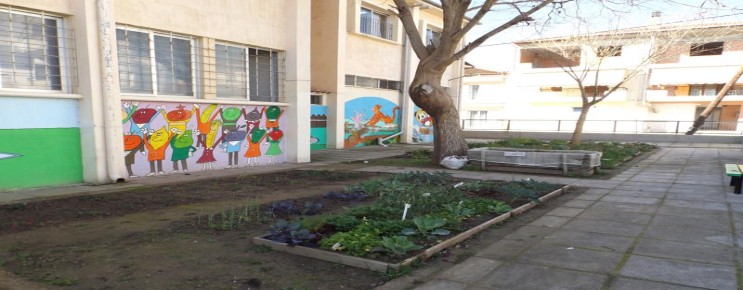 Ο κήπος μας που δημιουργήθηκε στα πλαίσια των σχολικών δραστηριοτήτων.